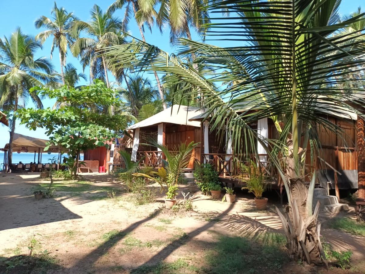 Big Fish Hotell Canacona Exteriör bild